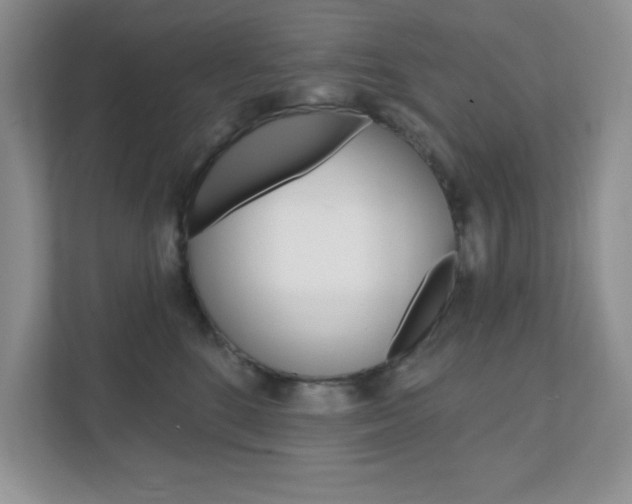 X0000111890520200907231450