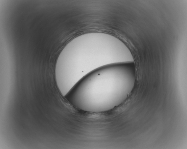 X0000111890521200907231450