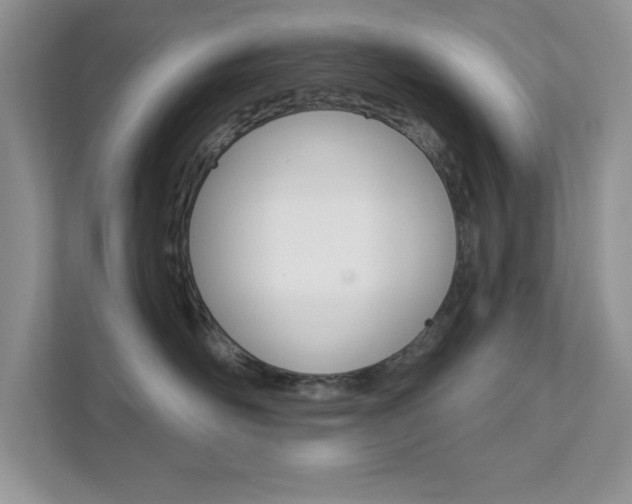 X0000111890526200907231450