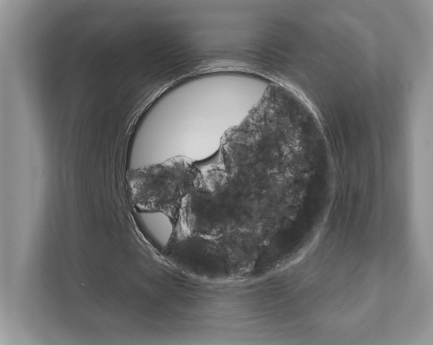 X0000111890529200907231449