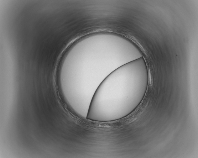 X0000111890531200907231449