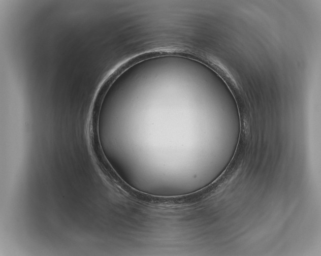 X0000111890532200907231449