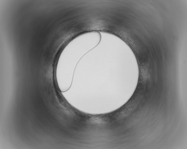 X0000111890534200907231449