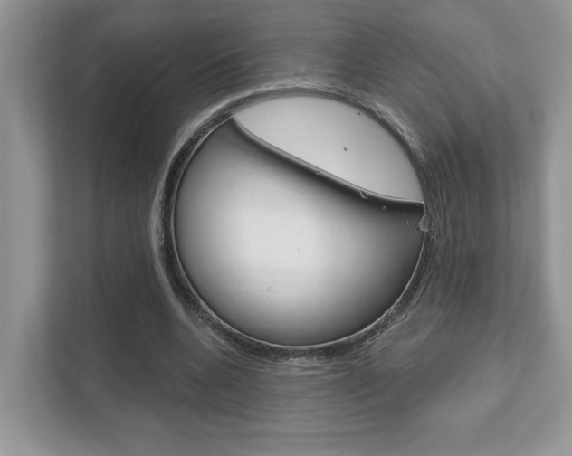 X0000111890536200907231449