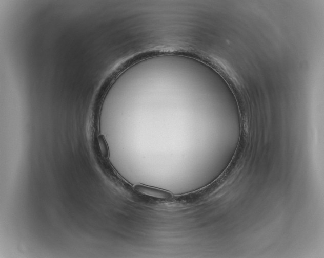 X0000111890540200907231449