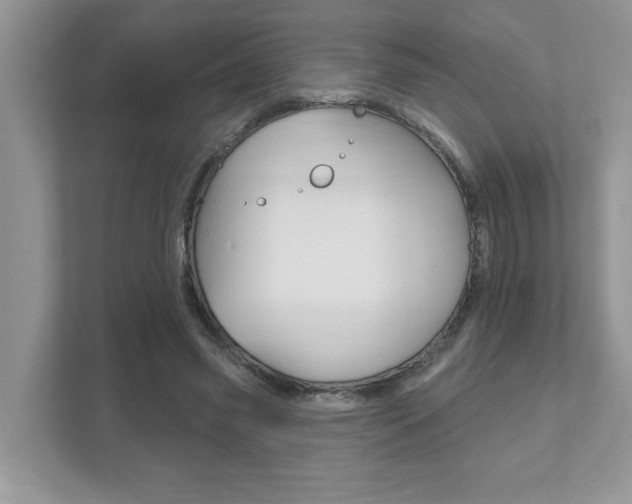 X0000111890541200907231449