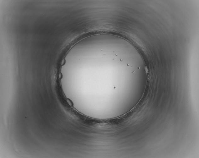 X0000111890544200907231449