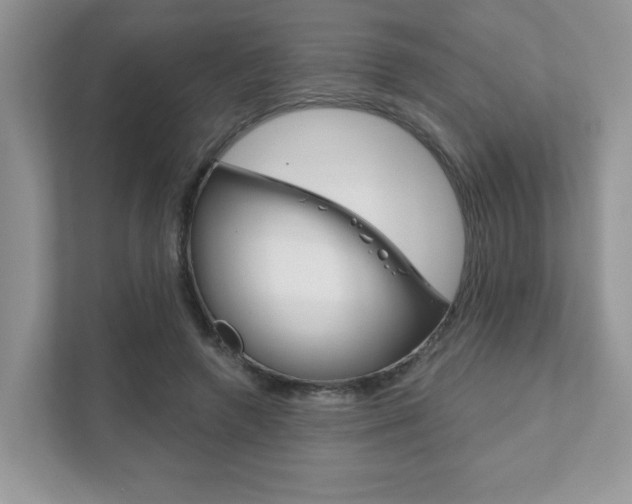 X0000111890546200907231449