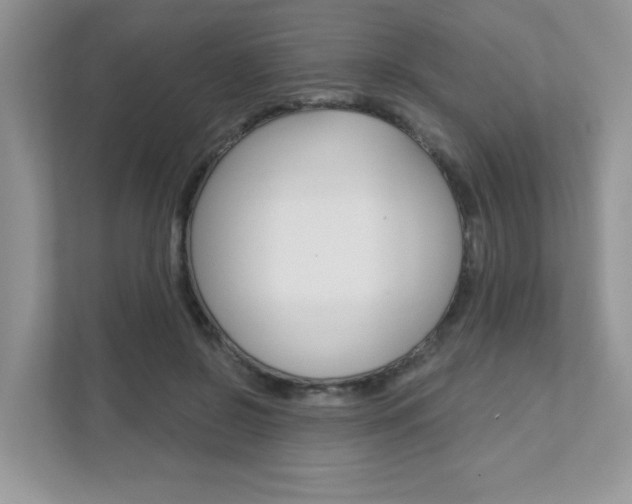 X0000111890550200907231449
