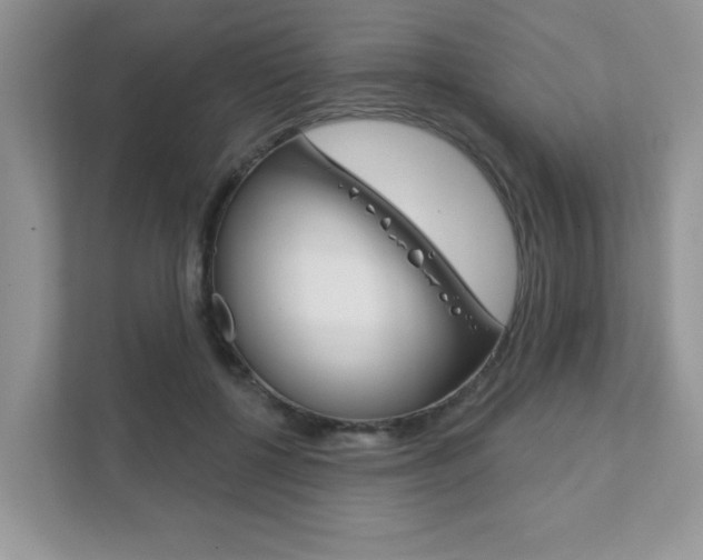 X0000111890552200907231449