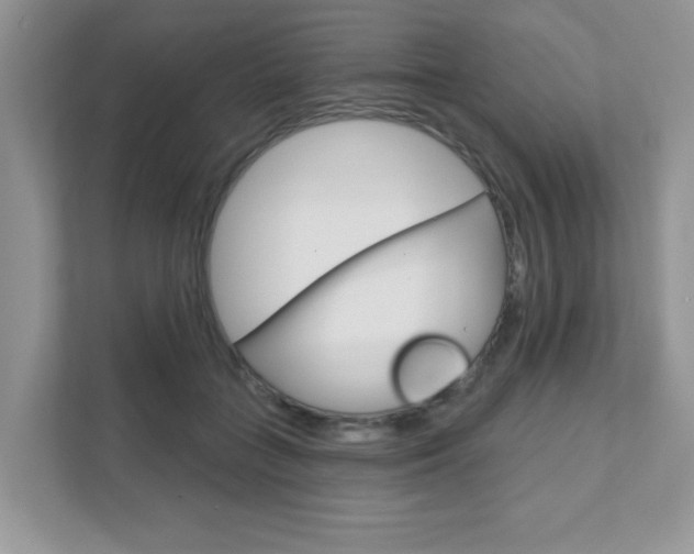 X0000111890555200907231449