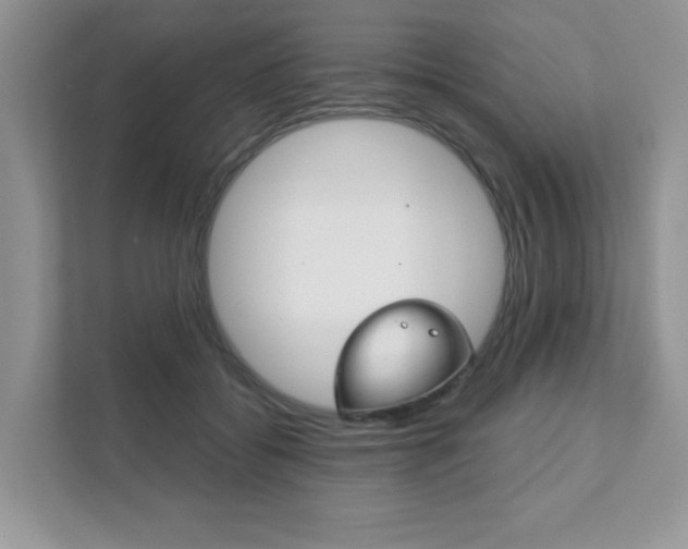 X0000111890556200907231449