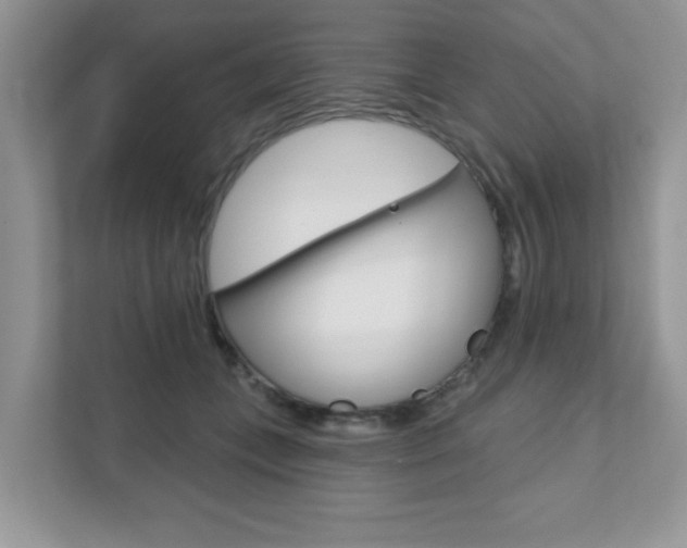 X0000111890559200907231449