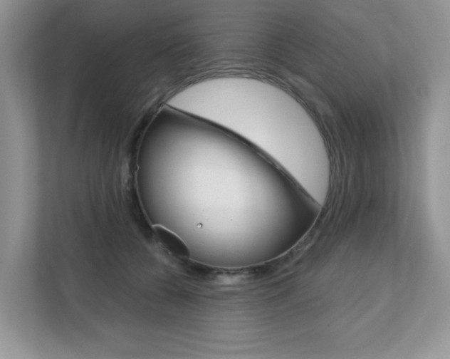 X0000111890560200907231449