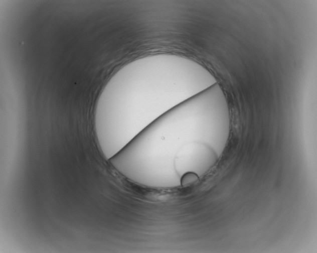 X0000111890563200907231450