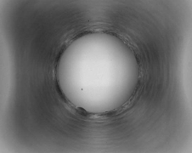 X0000111890568200907231450