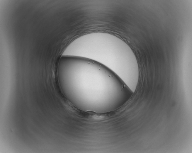 X0000111890570200907231450