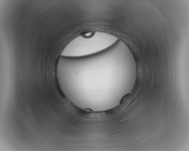 X0000111890571200907231450