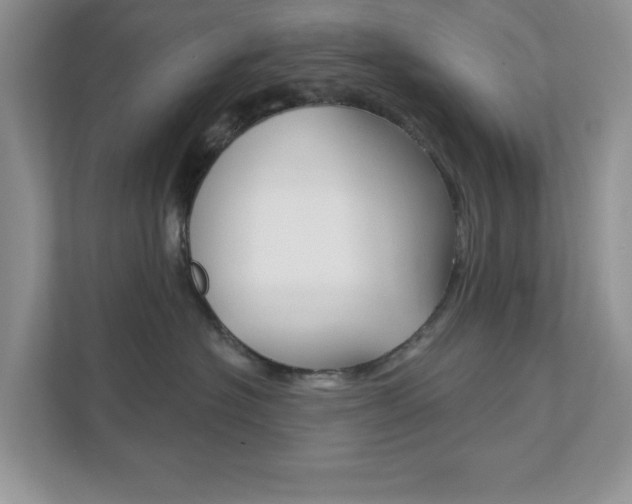 X0000111890574200907231450