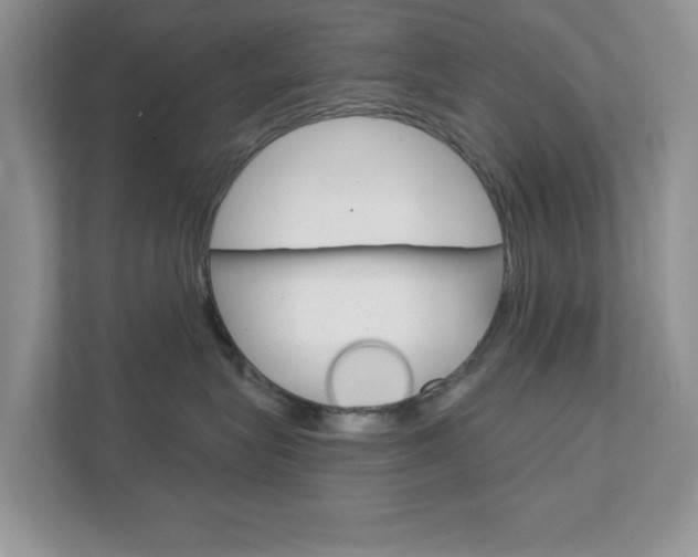 X0000111890575200907231450