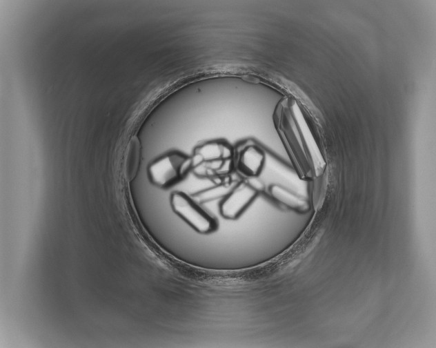 X0000111890577200907231449