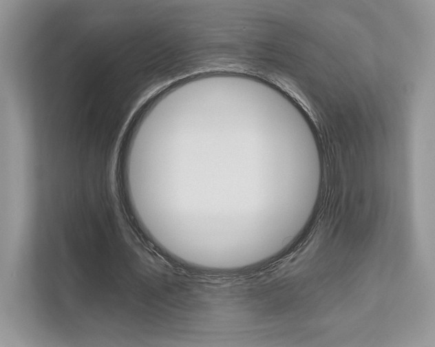 X0000111890579200907231449