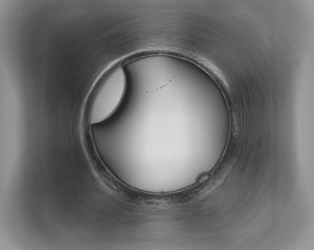 X0000111890580200907231449