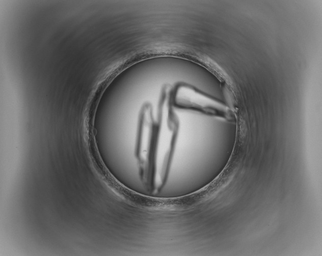 X0000111890581200907231449