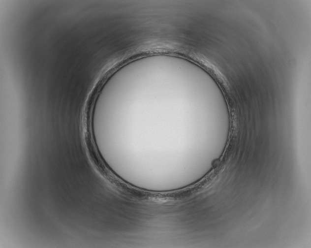 X0000111890582200907231449