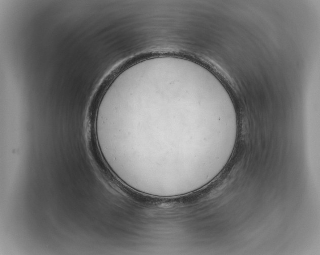 X0000111890584200907231449