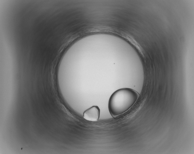 X0000111890585200907231449