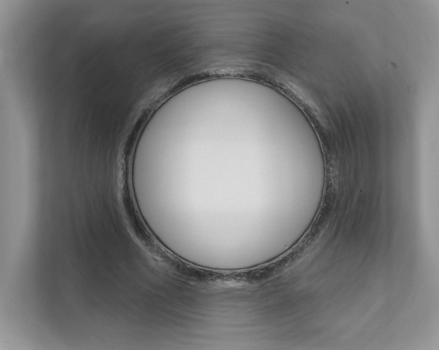 X0000111890586200907231449