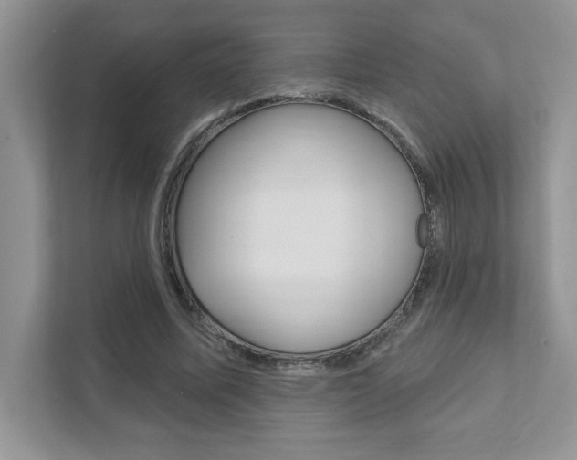 X0000111890587200907231449