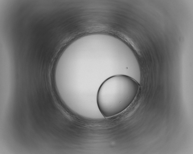 X0000111890589200907231449