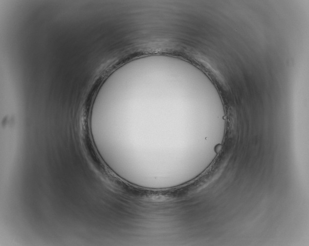 X0000111890590200907231449