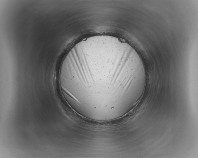 X0000111890592200907231449