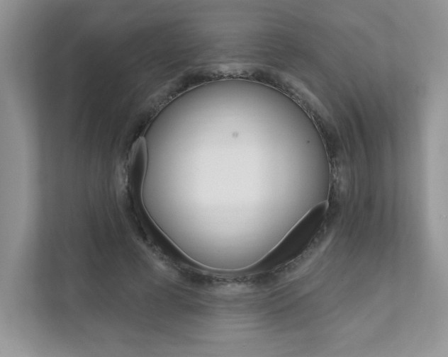 X0000111890593200907231449