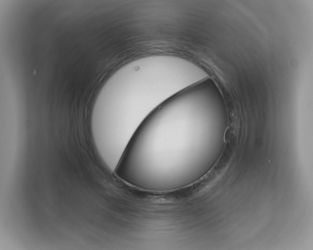 X0000111890597200907231449