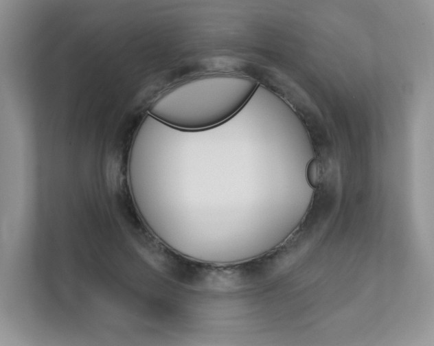 X0000111890599200907231449