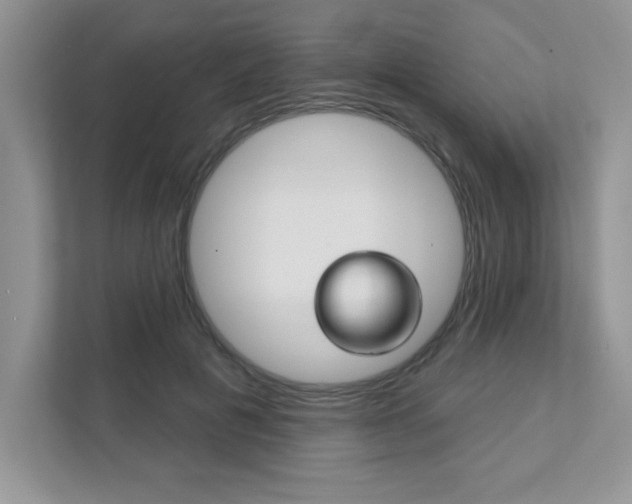X0000111890601200907231449