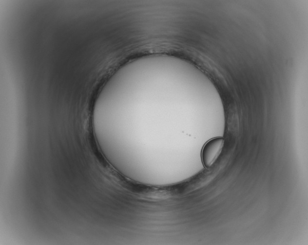 X0000111890604200907231449