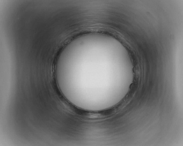 X0000111890605200907231449