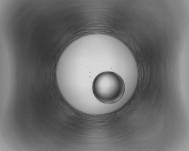 X0000111890609200907231449