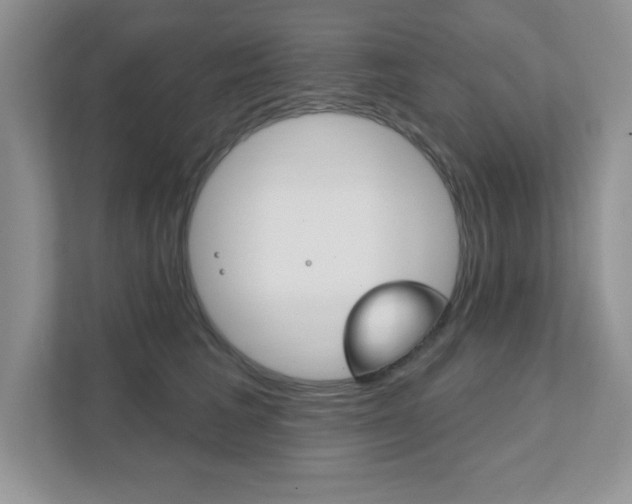 X0000111890613200907231449