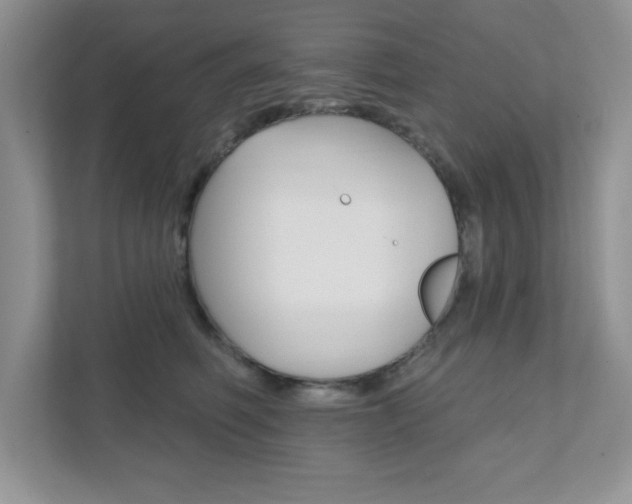 X0000111890614200907231449