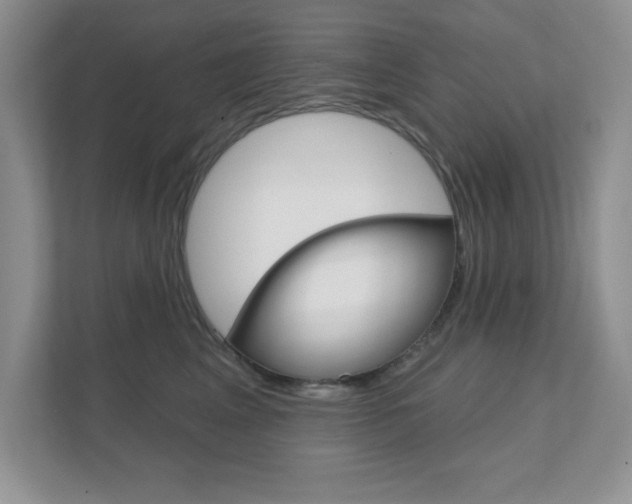 X0000111890617200907231449