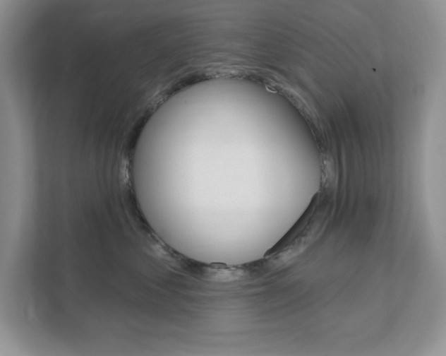 X0000111890621200907231448