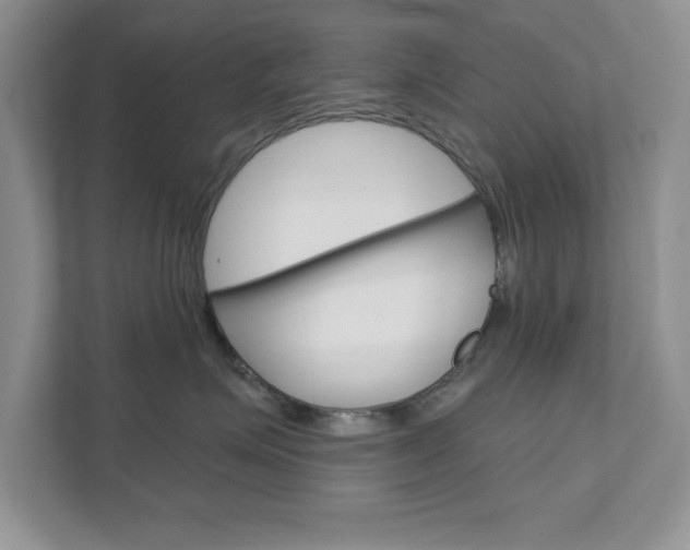 X0000111890623200907231448