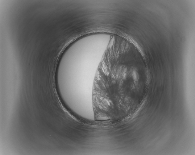 X0000111890625200907231448