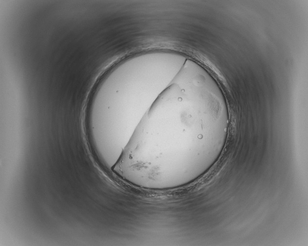 X0000111890629200907231448